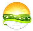 Summer banner. Vector