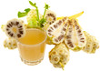 jus de noni, Morinda citrifolia