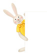 Vector: Vector of cute rabbit hiding by blank. Vector of cute rabbit hiding by blank.