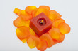Spilt petals of the orange-rose around the aromatic candle
