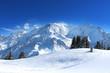 France - Mont-blanc (vu du Prarion) 