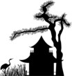 Asian house under a pine tree