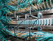 IT Server Shared virtuell Cloud LWL Feld