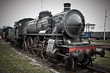 locomotiva