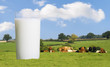 Glass Of Milk