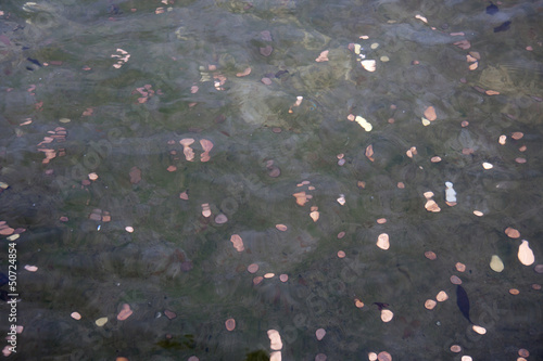 Photo: Coins in a fountain Coins in a fountain