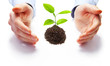 Hands and plant on white background
