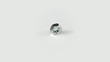 Nut rotates on a white background