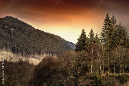 Photo: Mountain landscape Afan park Mountain landscape Afan park