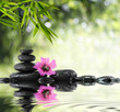 black stone and hibiscus with bamboo on the water