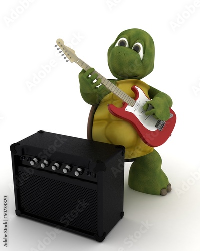 Illustration: tortoise playing the guitar tortoise playing the guitar