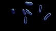 Multiplying Infected Cells