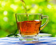 Cup of tea on nature background
