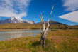 National park Torres del Paine, Patagonia, Chile