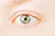 Human gray eye.
