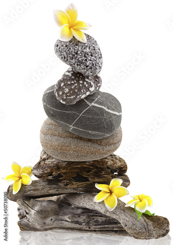 Photo: composition avec bois flottés, fleurs et galets composition avec bois flottés, fleurs et galets
