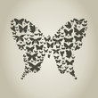 Silhouette the butterfly