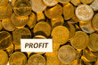 Profit sign at a stack of golden coins