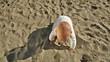 Baby crawling on sand, steadicam out front