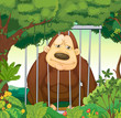 A gorilla inside a cage at the forest