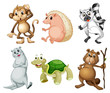 Six different kinds of wild animals