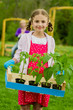Gardening, planting - lovely girl working in vegetable garden