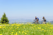 in den Frühling radeln