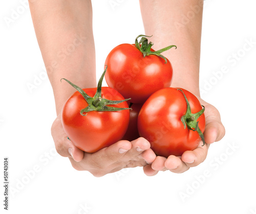 Photo: tomates tomates