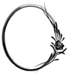 frame  with flowers of rose