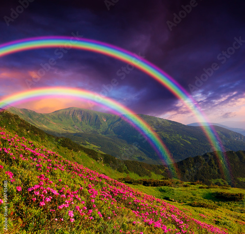 Photo: Rainbow over the flowers Rainbow over the flowers