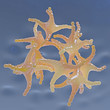 Histamin - 3D Render
