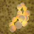 Fat cells - 3D Render