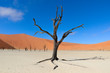 Landscape of Dead Vlei, Sossusvlei, Namibia, South Africa
