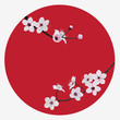 Branch flower blosoom on red sun, isolated