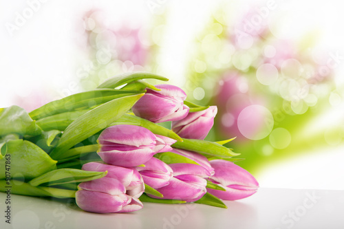 Photo: tulpen tulpen