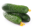 Fresh cucumber