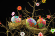 Eggs in the nest.