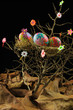 Eggs on a tree.