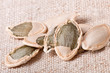 Pumpkin seeds