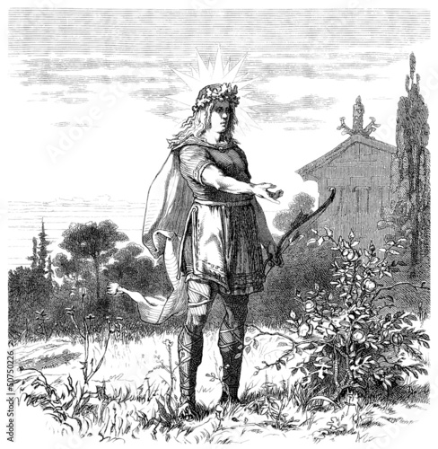 Illustration: Nordic/Germanic Warrior or God (Vali) Nordic/Germanic Warrior or God (Vali)
