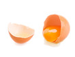 broken egg