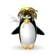 pinguino rasta