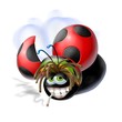 Illustration: coccinella rasta coccinella rasta