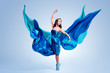 Ballet Dancer