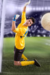 soccer goalkeeper