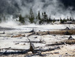 Yellowstone National Park, Wyoming, United States