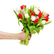 tulips