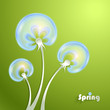 Green Background with Dandelion