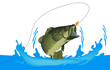 pesca con la mosca