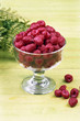 Different Frozen Fruits Chery in Cup